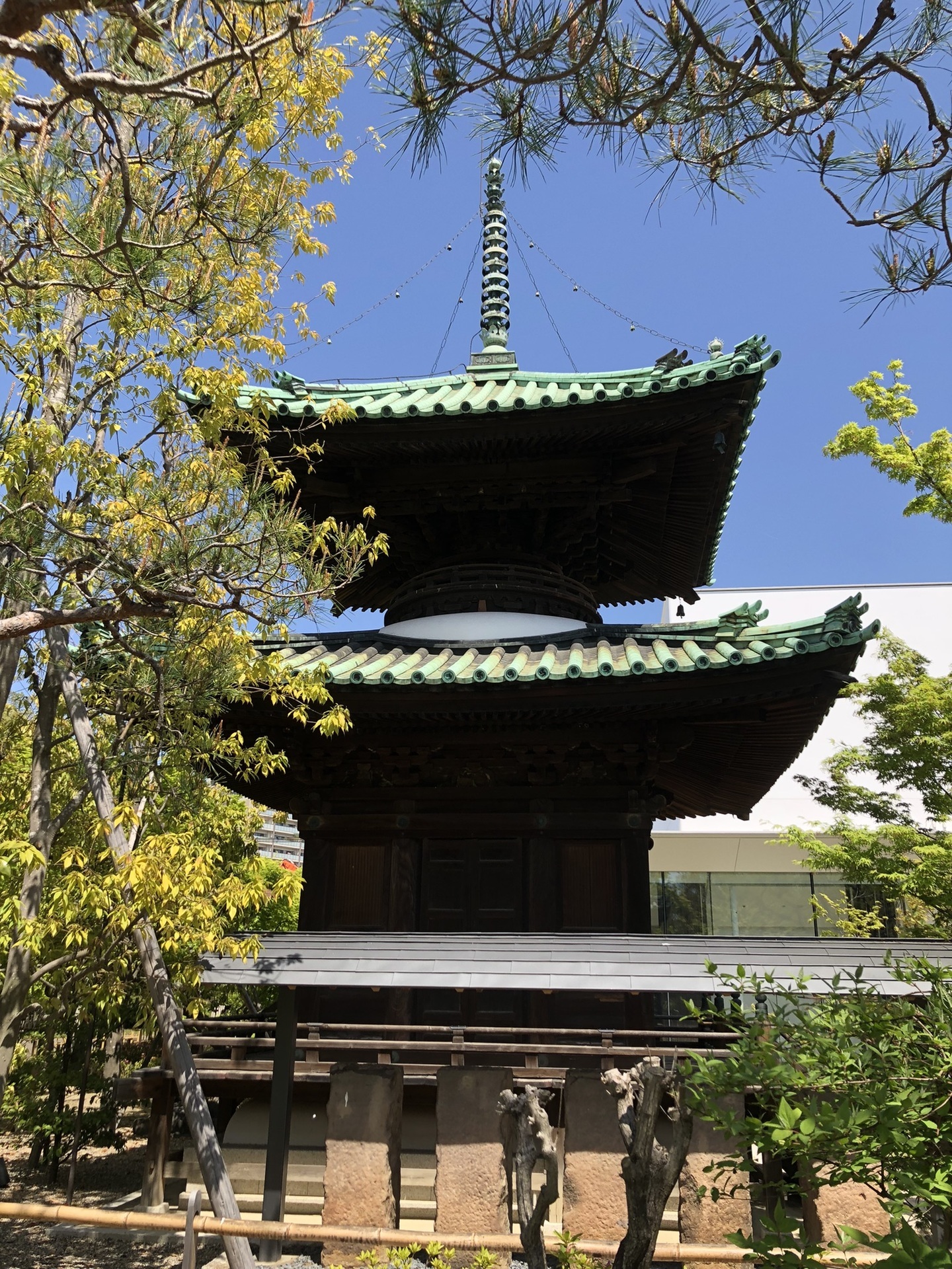 藤田邸跡公園（桜之宮公園） Lucky River News